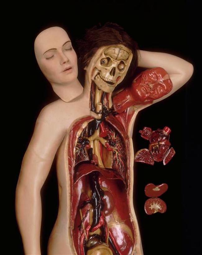 Venus anatomique, se détachant en 40 parties, conservée au musée de la faculté des sciences de Montpellier. ©RMN-Grand Palais : image RMN-GP