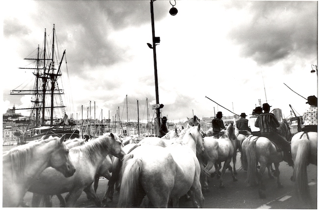 Une chevauchée de 100 chevaux camarguais de la Canebière au J4 en passant par le Vieux-Port, comme en 1993. © J.Y Delattre