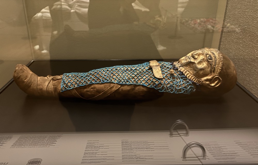 Ce nourrisson égyptien a vécu entre 323 et 30 avant notre ère. L'enfant a été embaumée et bandelettée avec du textile en lin. Son corps momifié est recouvert d’une résille de perles bleues en faïence, ainsi que d’un masque
en métal doré. Un scarabée ailé est posé sur le haut de son torse, l’insecte symbolisant le renouvellement éternel, sa teinte dorée étant associée à la chair des dieux. La présence de ces symboles caractérise les pratiques funéraires selon lesquelles l’accompagnement des défunts favorise leur renaissance. ©Rivaud-NAJA