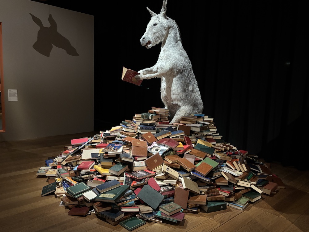 Pilar Albarracín, Asnería, installation, 2010. ©RIvaud/NAJA