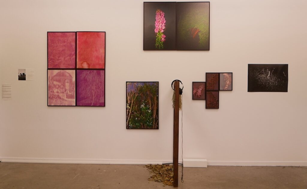 Exposition au festival Circulation(s) de Bloordroot and Foxglove par Ruby Wallis