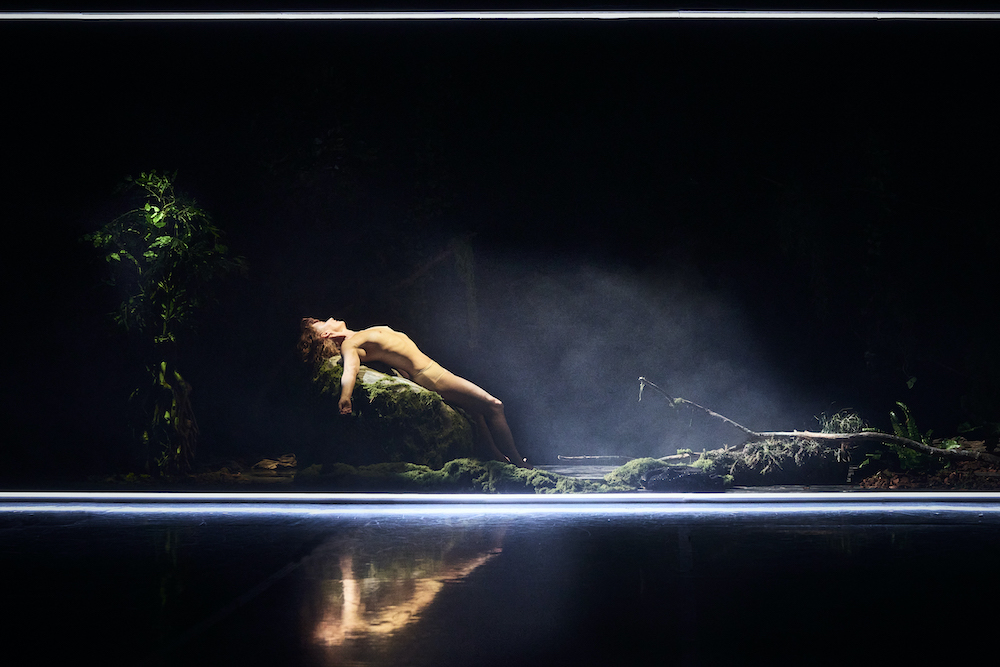 Une scène de Vivarium, spectacle conçu par la compagnie La Vouivre ©Christophe Raynaud de Lage