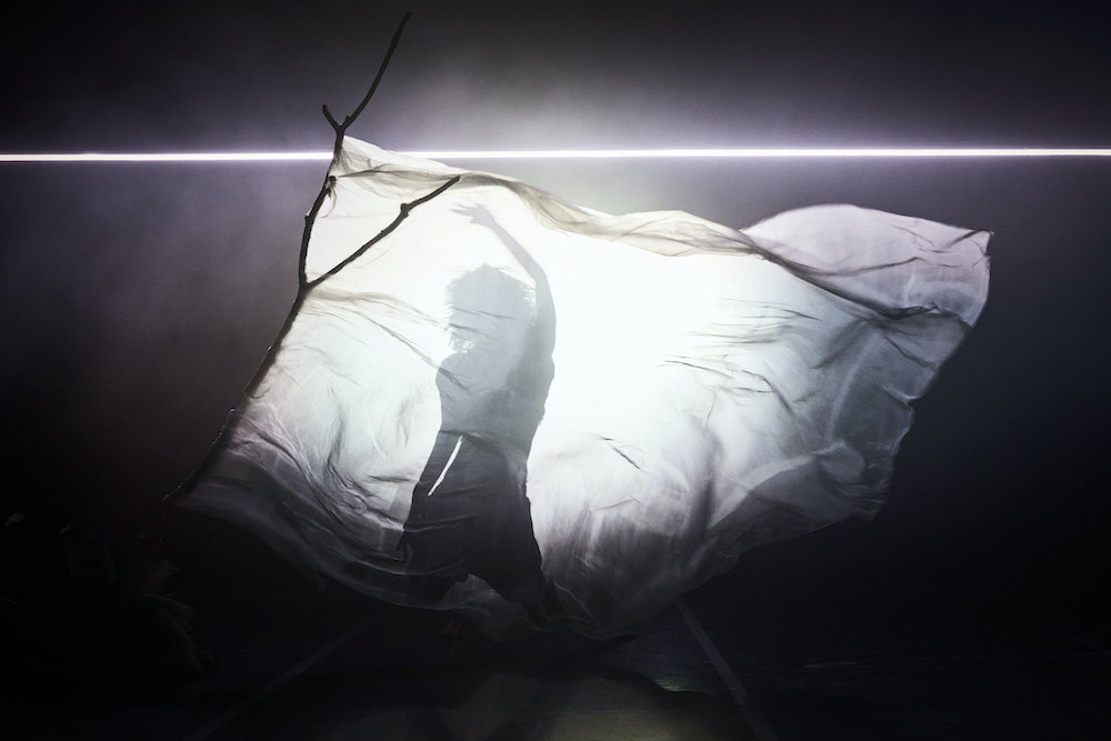 VIvarium ©Christophe Raynaud de Lage