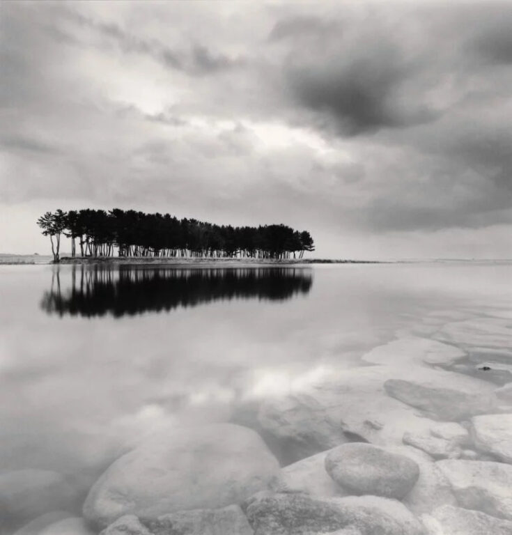 Pine Trees Study 3 Wolcheon Gangwondo, South Korea. 2011 © Michael Kenna