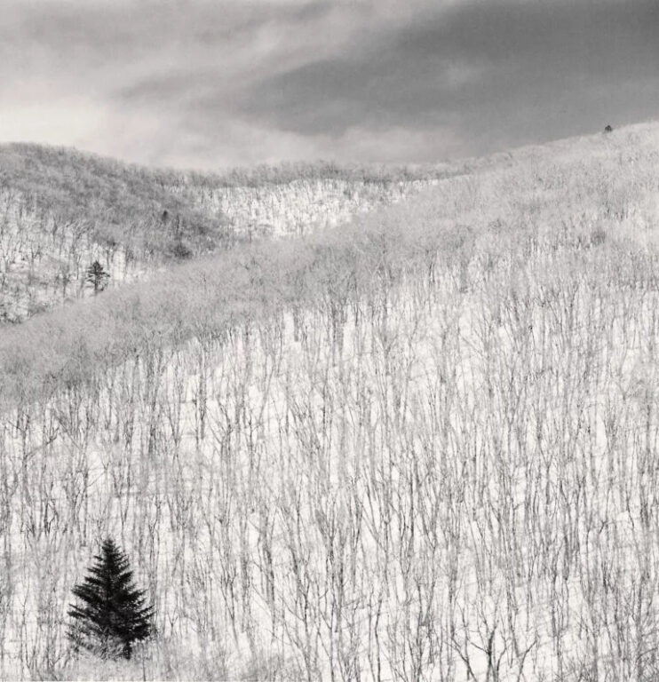 Snow Covered Hillside Pyongchang, South Korea. 2012 ©Michael Kenna