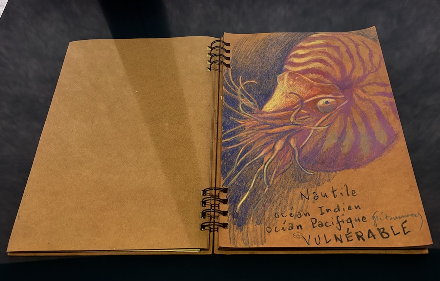 Gaétan Nocq (né en 1968), carnet de 27 dessins de la salle des espaces menacées et disparues, 2024. ©Rivaud/NAJA